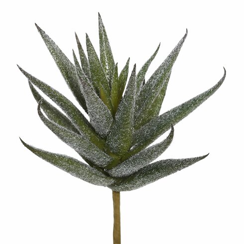 Bay Isle Home Artificial Aloe Vera Pick Succulent Plant & Reviews ...