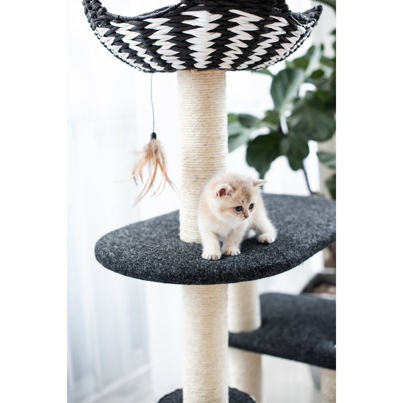 heart to tail window mounted cat bed