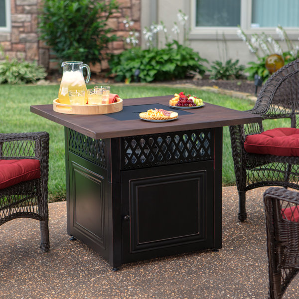Endless Summer Donovan LP Gas Outdoor Steel Propane Fire ...