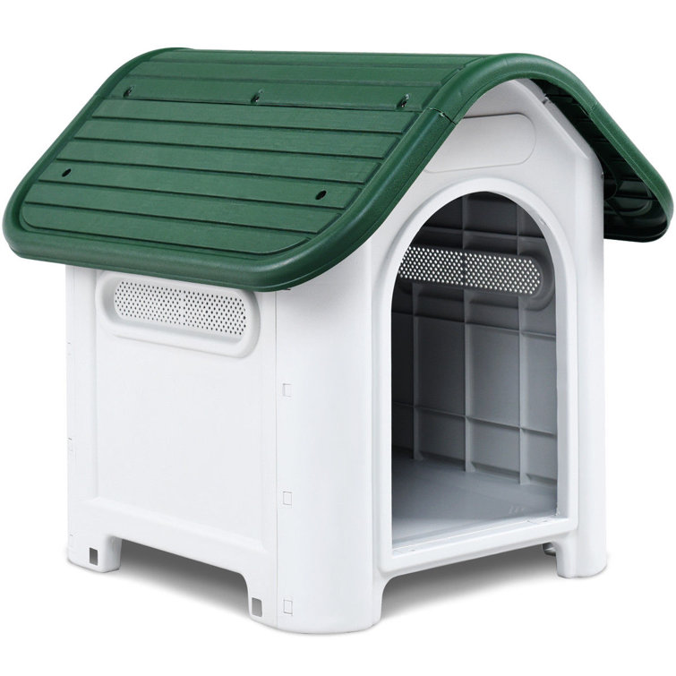 big w kennel