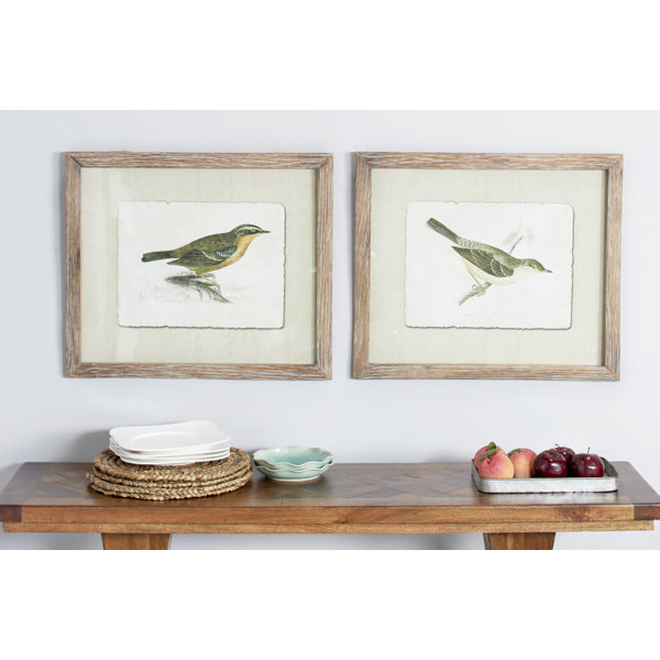 Extra Large Vintage Style Warbler And Accentor Bird Illustrations 2 Piece Picture Frame Painting Print Set On Paper Birch Lane