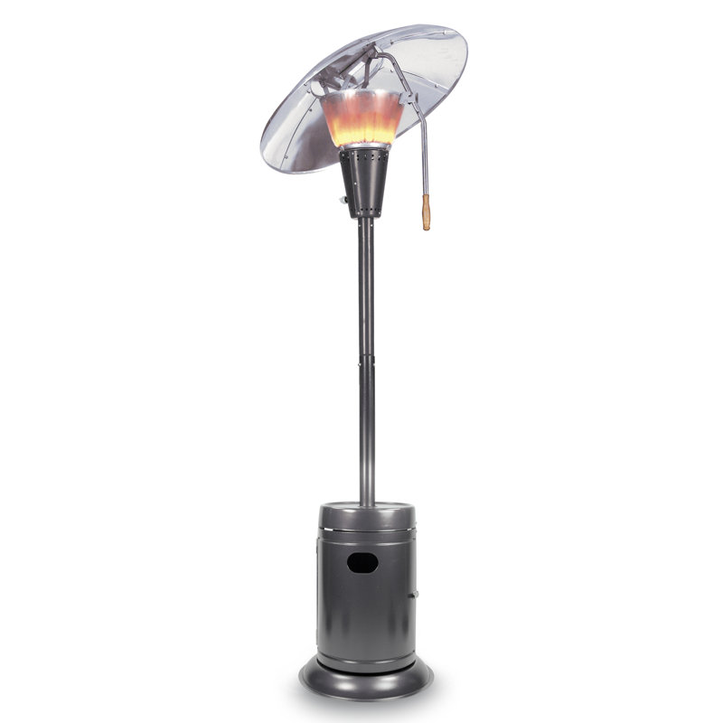 Mirage Heat Focus 38 200 Btu Propane Standing Patio Heater Reviews Wayfair