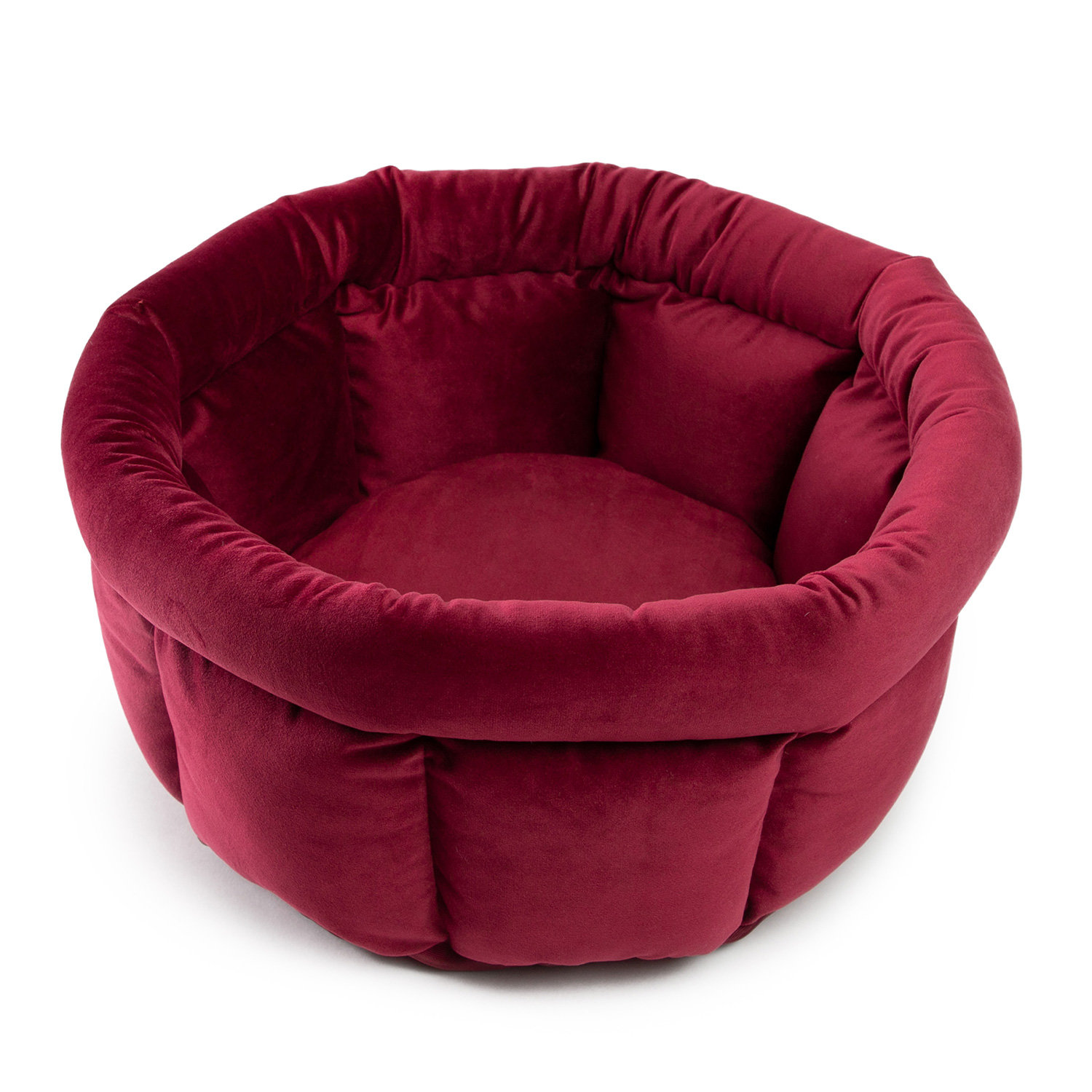 best friends cuddle cup dog bed