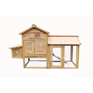 Animal Hutch Cage