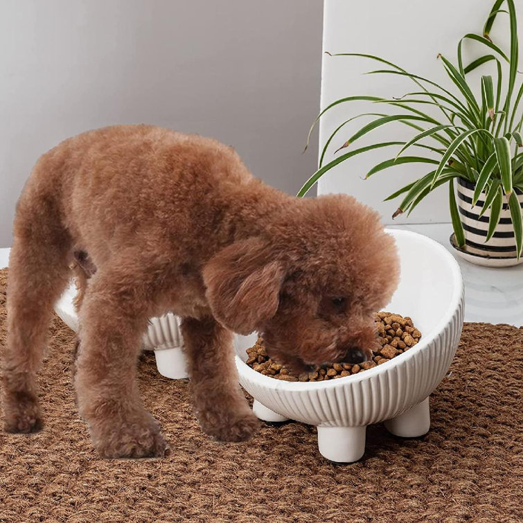 microwavable dog bowl
