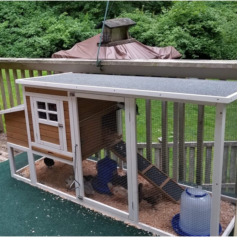 Multi Level Wooden Chicken Coop