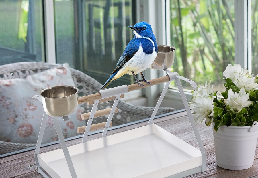 Bird Play Stand & Playcenters