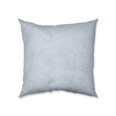 22 inch pillow forms