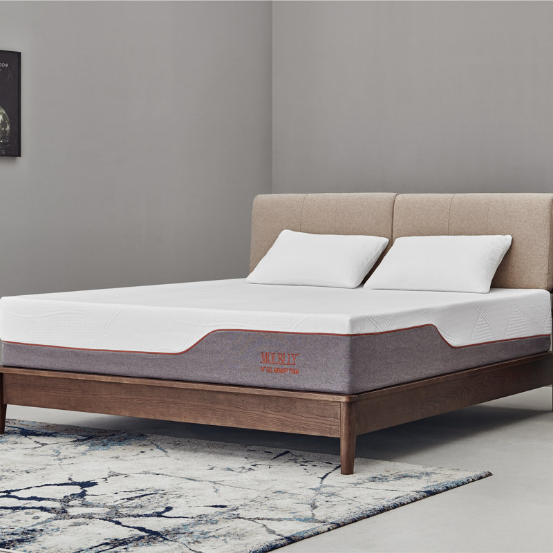 Molblly Two Sided 14 Medium Memory Foam Sofa Bed Mattress Reviews