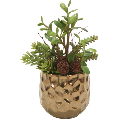 Distinctive Designs Jade Succulents And Cactus Desk Top Plant In