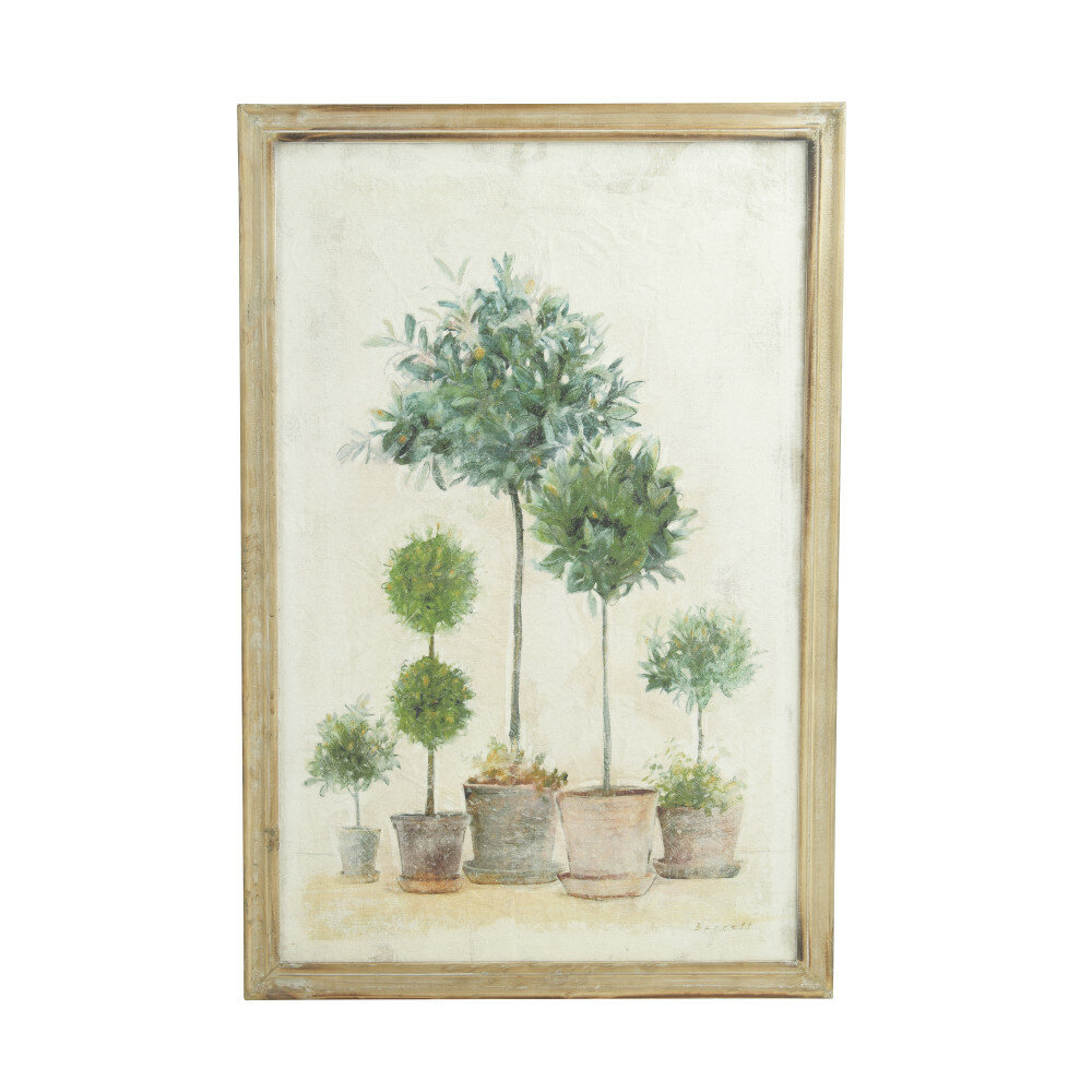 potted trees