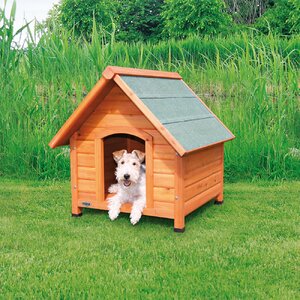 Lugo Log Cabin Dog House