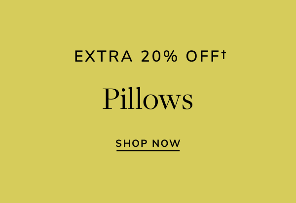 EXTRA 20% OFFf Pillows SHOP NOW 