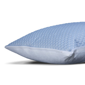 Pillow Protector by Alwyn Home