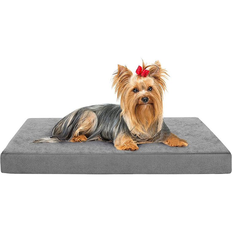 cooling dog bed for crate