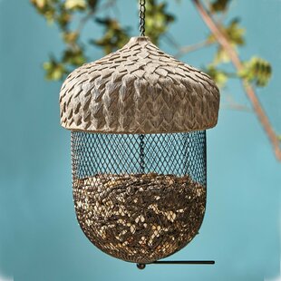 Acorn Decorative Bird Feeder By Sol 72 Outdoor