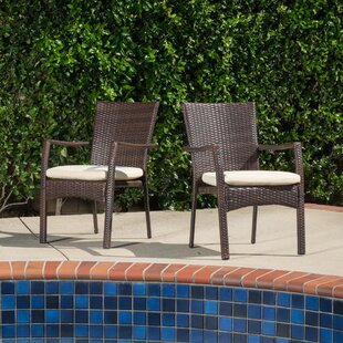 Brandon Arm Chair (Set Of 2) By Beachcrest Home