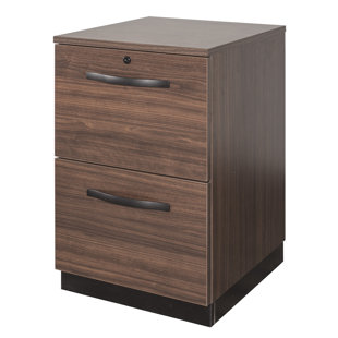 Desmond 2 Drawer Vertical Filing Cabinet by Ivy Bronx