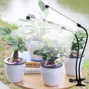 ENUOLI Plant Grow Light Phytolamp Height Adjustable Growing Lamp House Plant Led Grow Lamp Indoor Plant Lights with Automatic Timer Grow Lights for Indoor Plants Seed Starting Vegetables Grow Light 