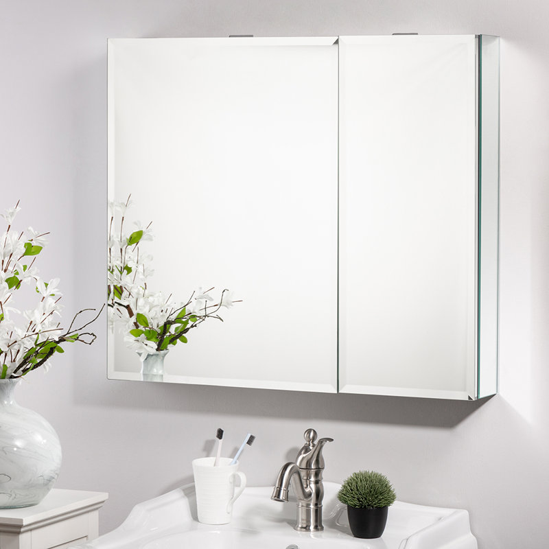 Orren Ellis Medicine With Frameless Double Door 30 Inch X 26