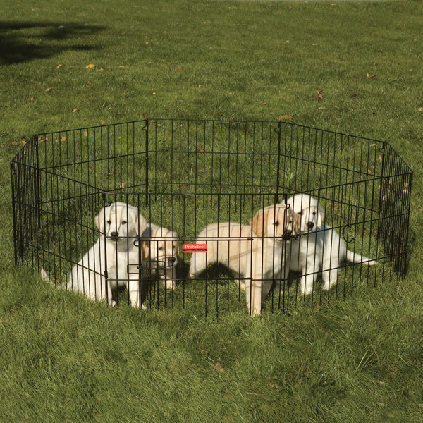 top paw exercise pen instructions