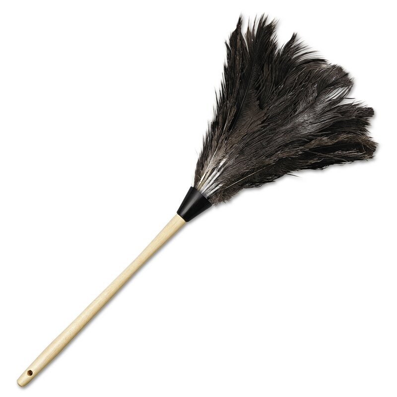 Duster ostrich feather