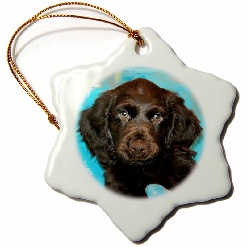 boykin spaniel christmas ornament