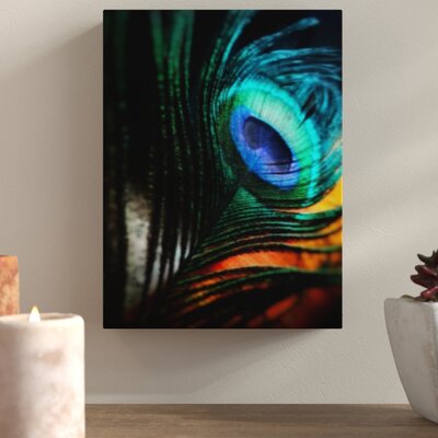 'Peacock Feathers' Photographic Print on Wrapped Canvas Bloomsbury Market Size: 36