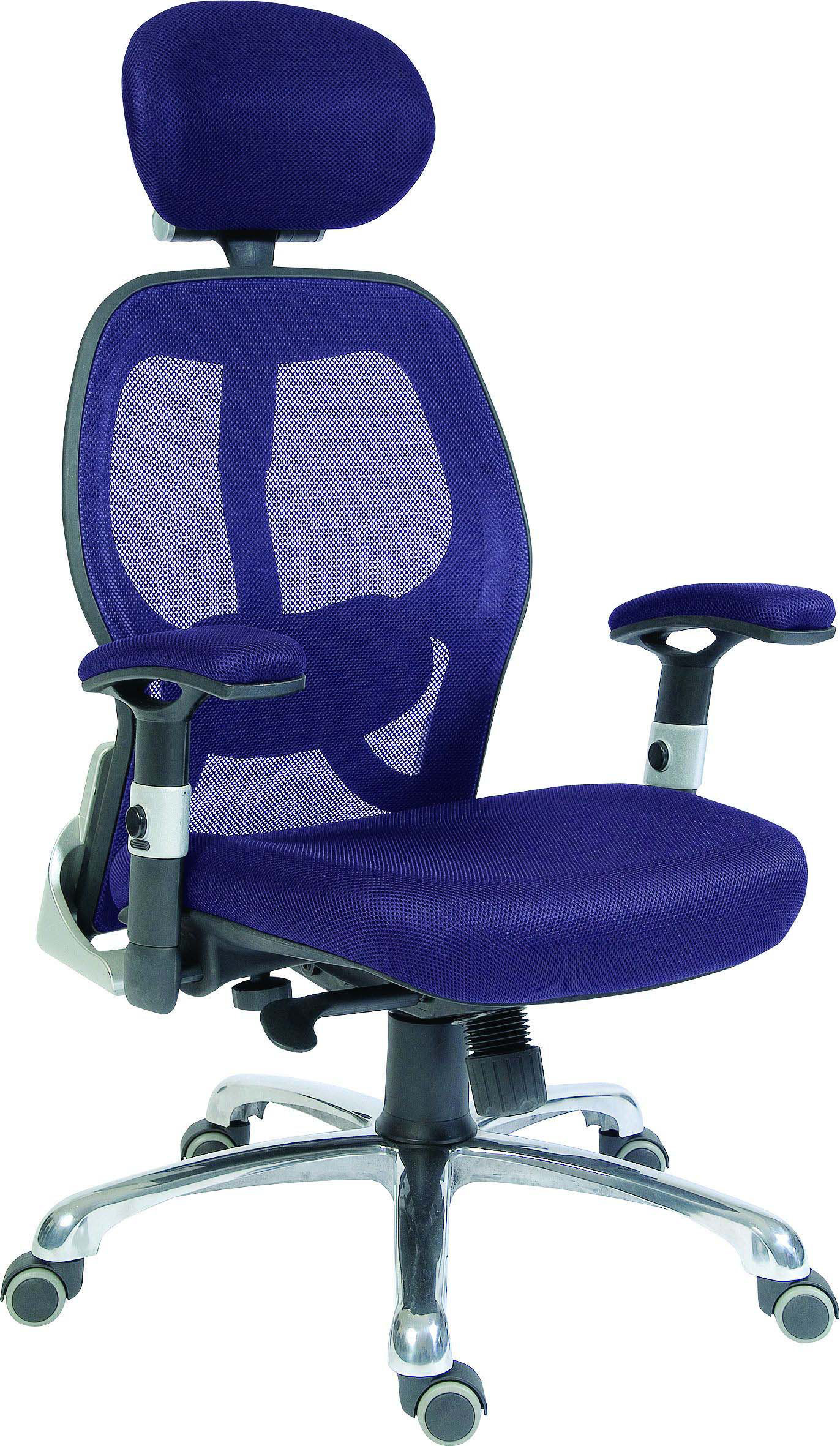 Brayden Studio High Back Mesh Executive Chair With Lumbar Support High Back Mesh Executive Chair