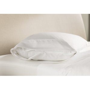 Pillow Protector by Alwyn Home