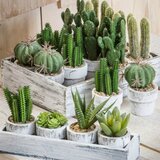 Artificial Plants Youll Love In 2019 Wayfair