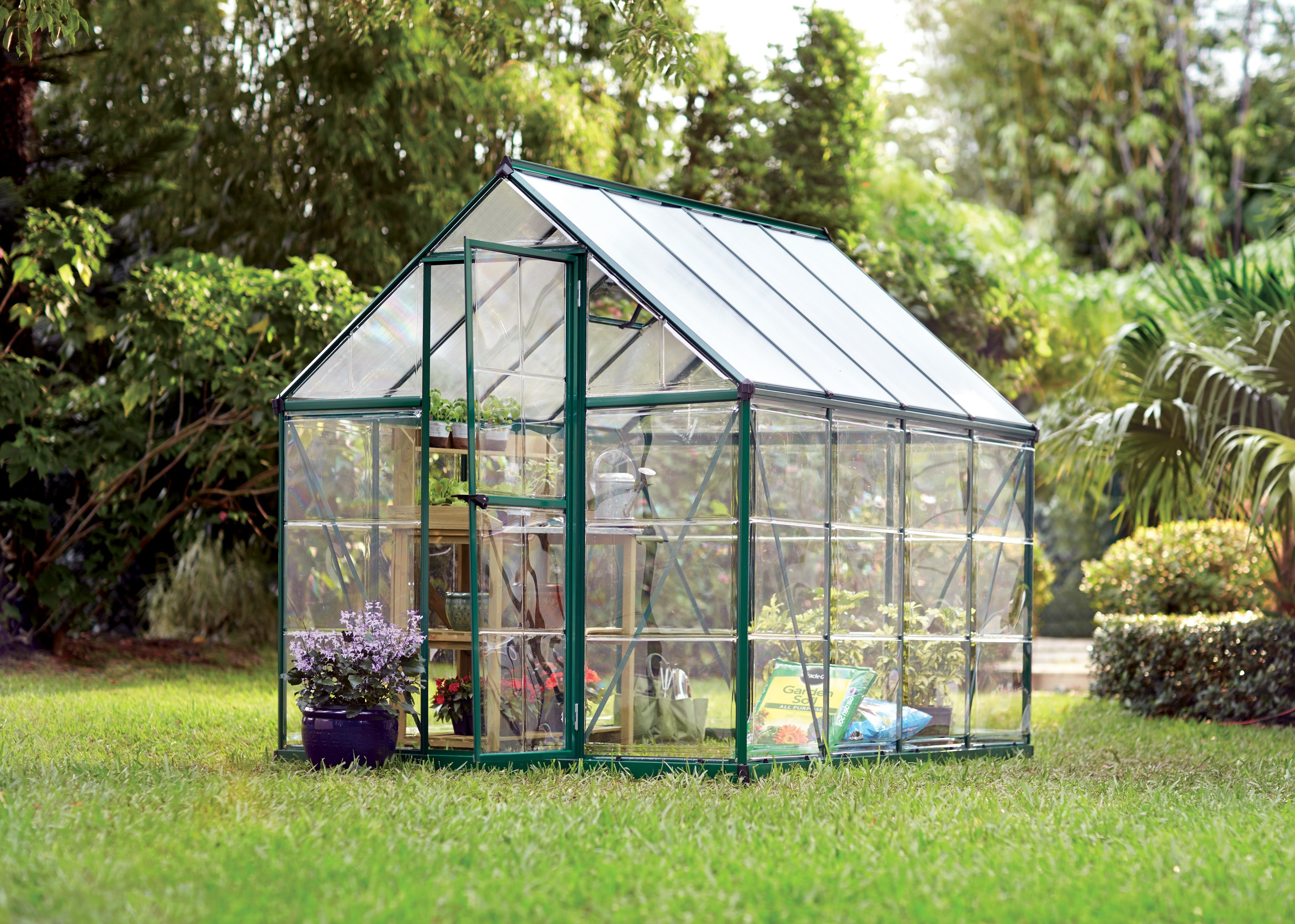 Darby Home Co Shearson 6 Ft W X 8 Ft D Greenhouse Wayfair