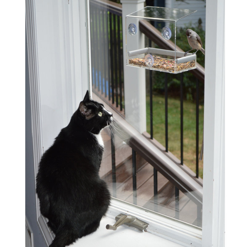 Petfusion Tranquility Window Tray Bird Feeder Reviews Wayfair