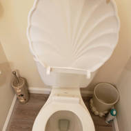Shell Design White Plastic Toilet Seat