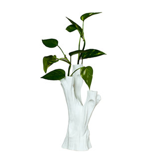 driftwood vase wayfair