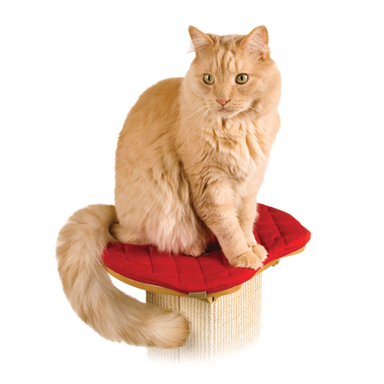 wayfair cat perch