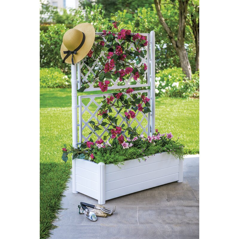 Charlton Home® Encanto Plastic Planter Box with Trellis & Reviews | Wayfair