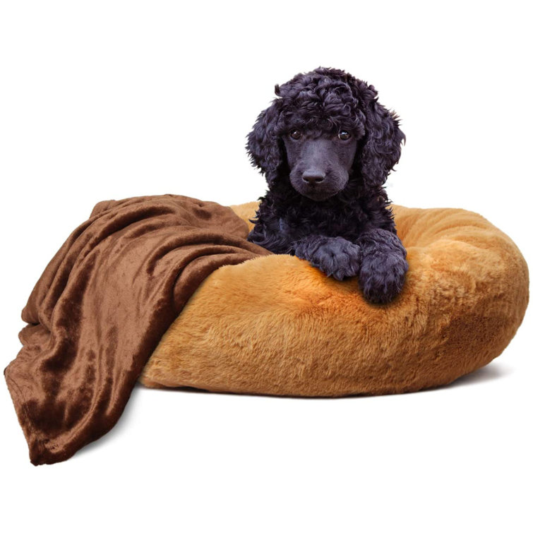 jumbo size dog beds