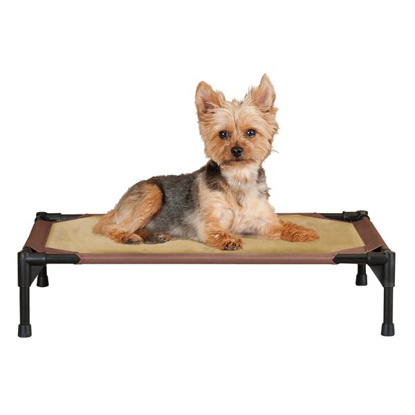 raised cot dog bed