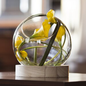 Glass Orb on Wooden Stand Table Vase