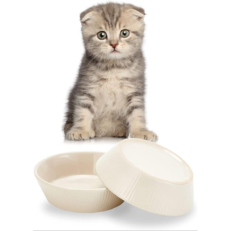 cat bowl set