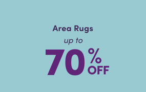 Area Rug Clearance