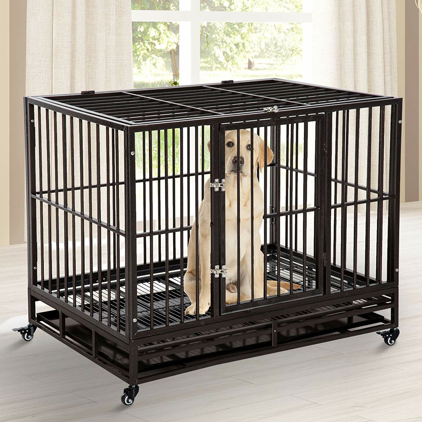 cheap pet crates