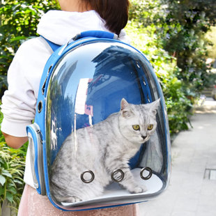 backpack rabbit carrier