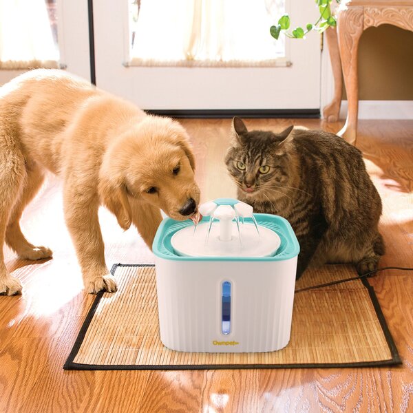 Blue Mulple Pet Automatic Water Water Fountain with Water Level Window Ultra Silent Healthy and Hygienic Cat Waterfall Flower Style Fountain,with 1 Large Silicone Mat 