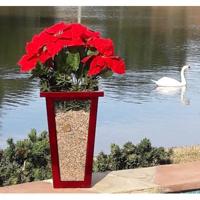 Nesbit Indoor/Outdoor Glass Floor Vase