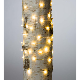 Best Firefly 60 Light Fairy String Light (Set of 12) By Plow & Hearth Outdoor Lighting Firefly 60 Light Fairy String Light (Set of 12) By Plow & Hearth Outdoor Lighting