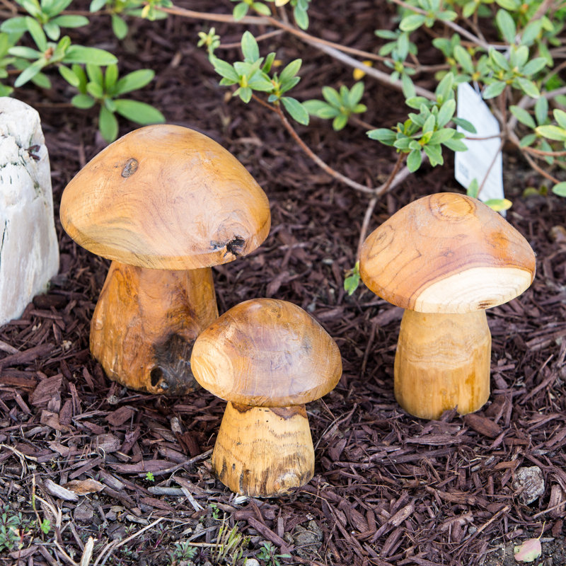 Teak Root Mushroom Set Of 3