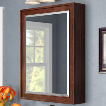 Birch Lane Heritage Phoebe Surface Mount Framed 1 Door Medicine