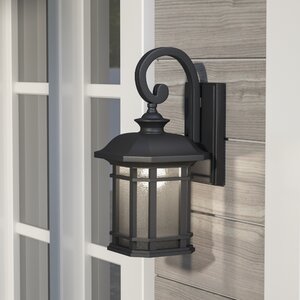 Fresno 1-Light Outdoor Wall Lantern